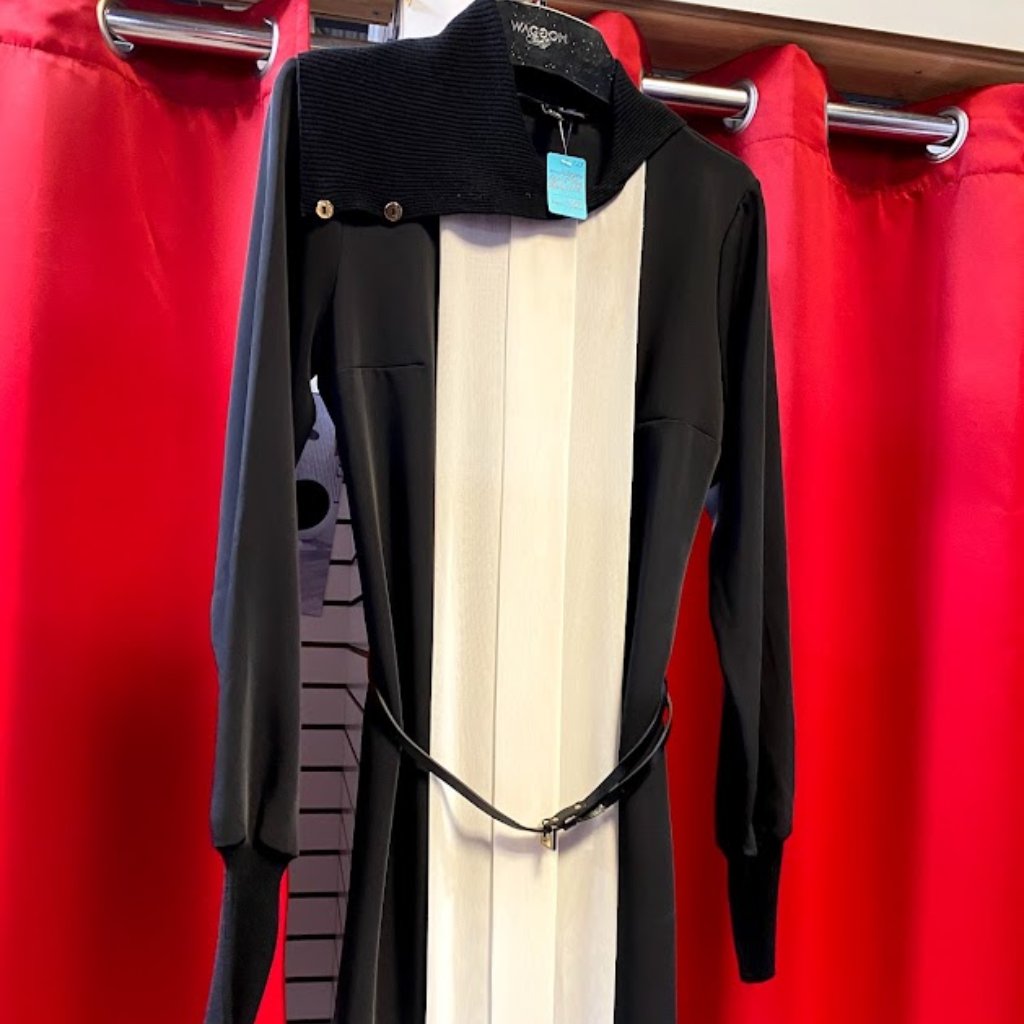 Brand New Paris Waggon Dress